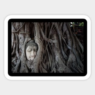 Wall Art Print - Tree BUDDHA Namaste - canvas, Photo print, artboard print, poster Canvas Print Sticker